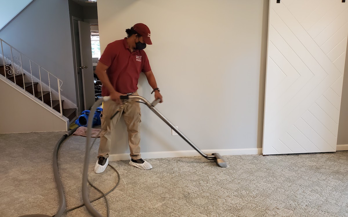 Professional carpet cleaning service in North Plainfield NJ removing stains from carpet