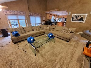Read more about the article Professional Carpet Cleaning in North Plainfield NJ: What You Need to Know